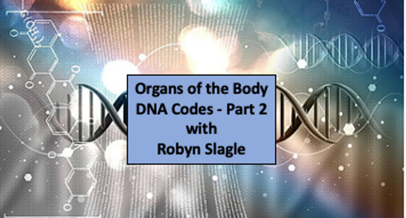 Organs of the Body DNA Codes - Part 2
